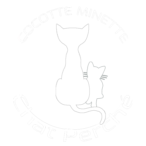 Cocotte Minette et Chat perché